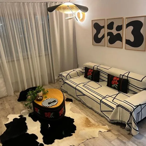 Modern Apartment，位于Tecuci的酒店