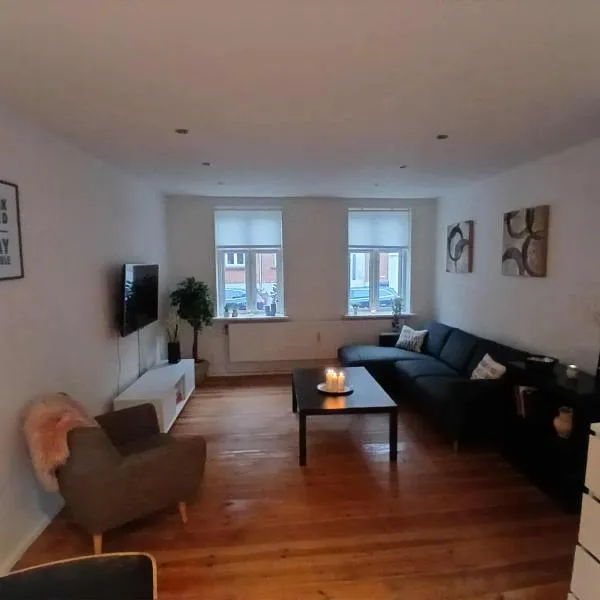 Lejlighed ved stranden og centrum，位于腓特烈西亚的酒店