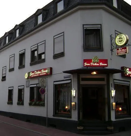 Hotel zum dicken Baum，位于迈恩的酒店