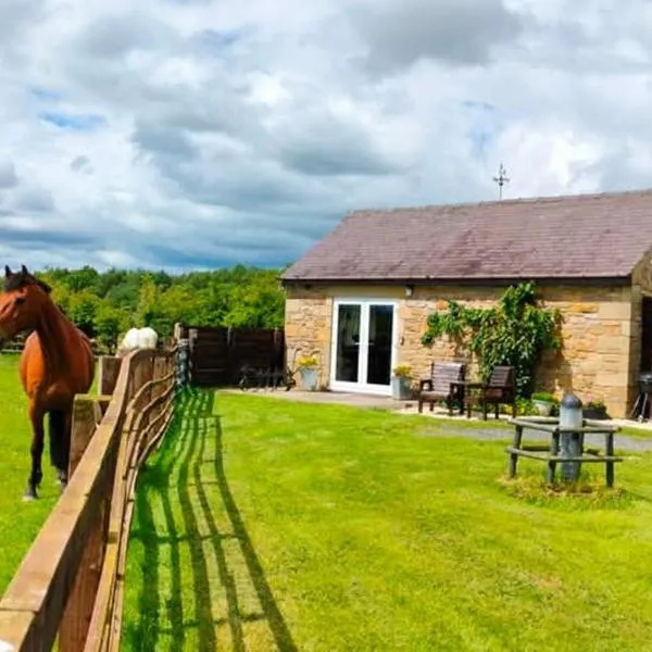 The Hideaway with hot tub，位于查希尔的酒店