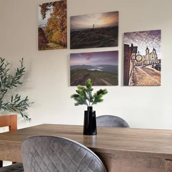 Apartament na Błoniach，位于萨诺克的酒店