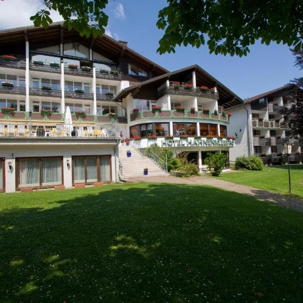 哈赫奈克尔酒店，位于Clausthal的酒店