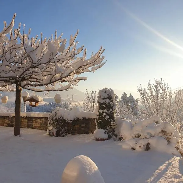 Hotel garni Landhaus Maria Grün，位于费尔德基希的酒店
