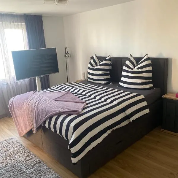 New komplett möblierte Wohnung-Zentral，位于辛德尔芬根的酒店