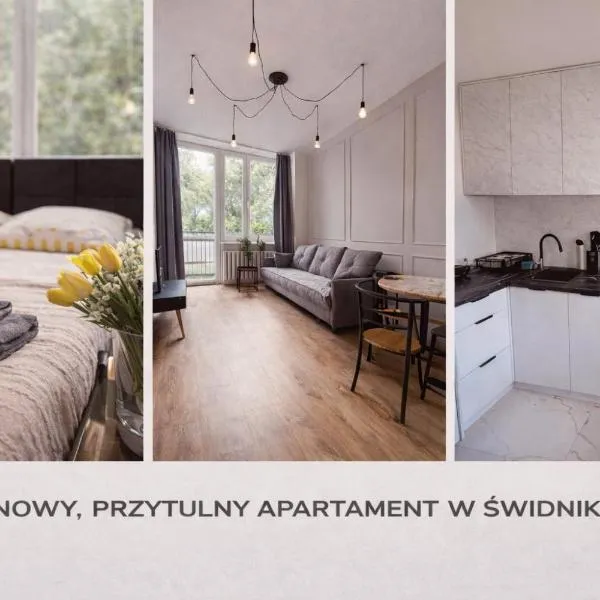Black or White Świdnik Apartment's，位于斯维德尼克的酒店