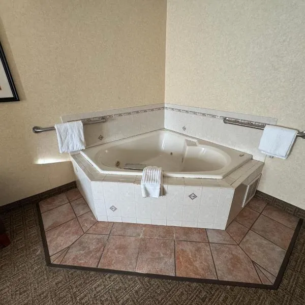 Comfort Inn & Suites Hamburg - Buffalo South，位于汉堡的酒店