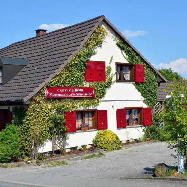 奥特施雷内里哈勒金宾馆，位于辛根的酒店