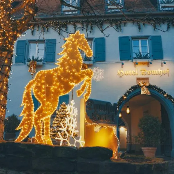 多姆霍夫酒店，位于施派尔的酒店