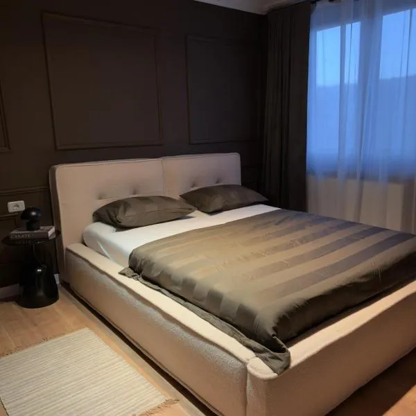 Cozy Central View -Self Check-In 24h，位于雷希察的酒店