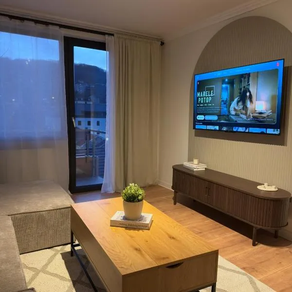 Cozy Central View，位于雷希察的酒店