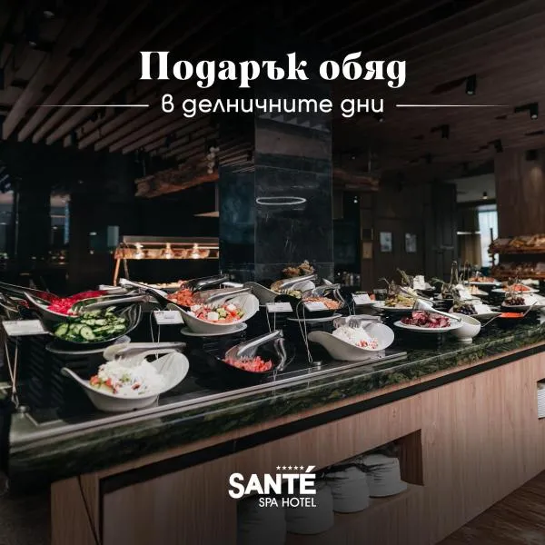 Santé SPA Hotel，位于韦林格勒的酒店