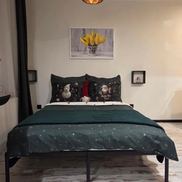 Apartamenty Królówka，位于比得哥什的酒店