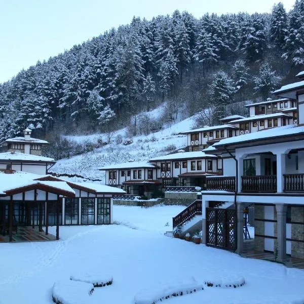 SPA Hotel Ismena，位于代温的酒店