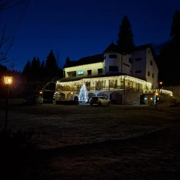 Vila Apuseni，位于阿列谢尼的酒店