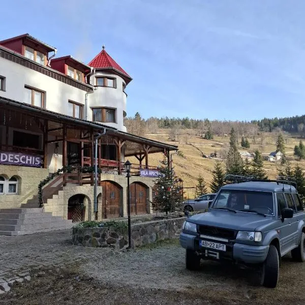 Vila Apuseni，位于阿列谢尼的酒店