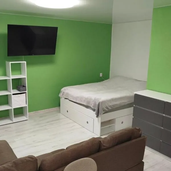 Moisa Apartments，位于纳尔瓦的酒店