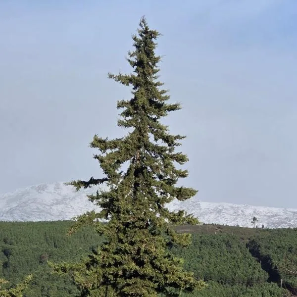 Quinta da Feteira - Conforto, Aventura, Saúde，位于Maiorais的酒店