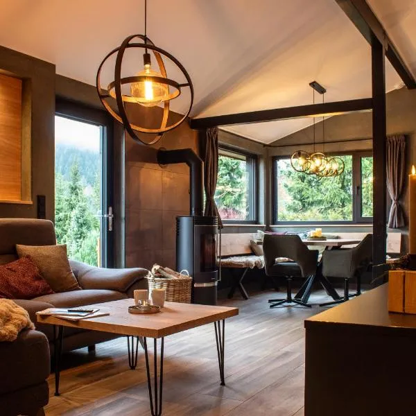 Ferienhaus 1000 Berge Winterberg Kamin & Whirlpool，位于温特贝格的酒店