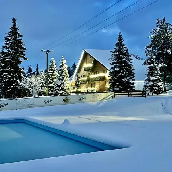 Domeniul CRIS Vatra Dornei，位于瓦特拉多尔内的酒店