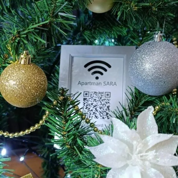 Apartman SARA，位于阿然德洛维克的酒店