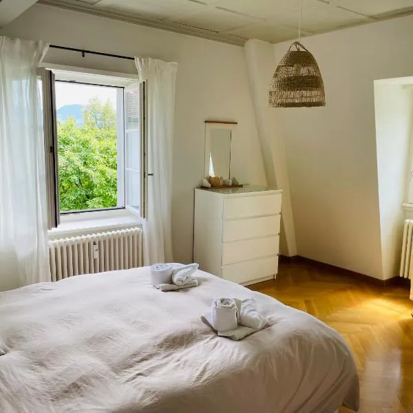 Fantastically beautiful old building apartment with lake view，位于门内多夫的酒店