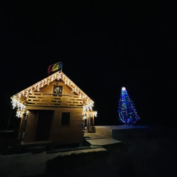 Cabana din Luncă，位于Bistra的酒店