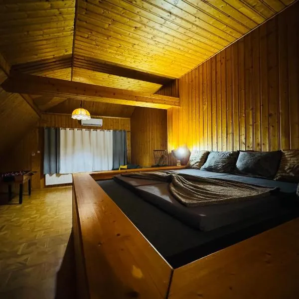 Family Apartment Staňkov, Sauna & Playground，位于Staňkov的酒店