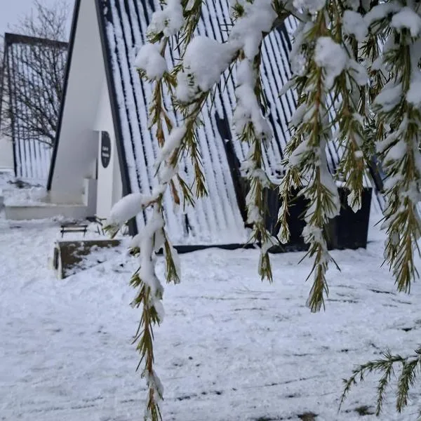 Chalé Acolhedor - Penhas da Saúde - Serra da Estrela，位于科维良的酒店