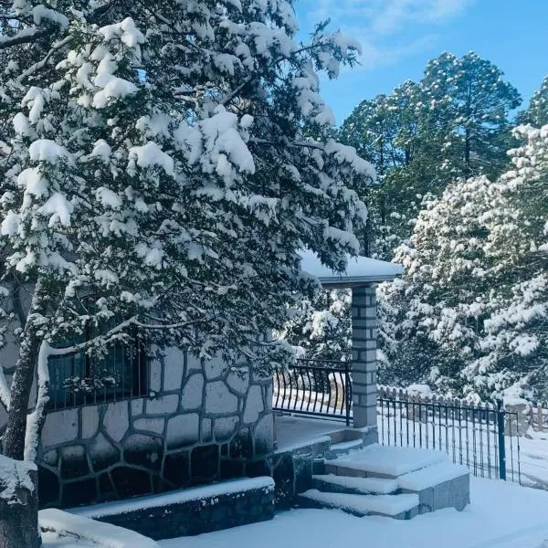 Cabañas las Gemelas，位于Areponapuchi的酒店