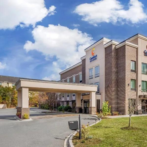 Comfort Inn & Suites Florence Center Area，位于佛罗伦萨的酒店