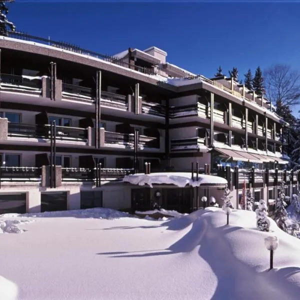 福赫酒店，位于Salgesch的酒店
