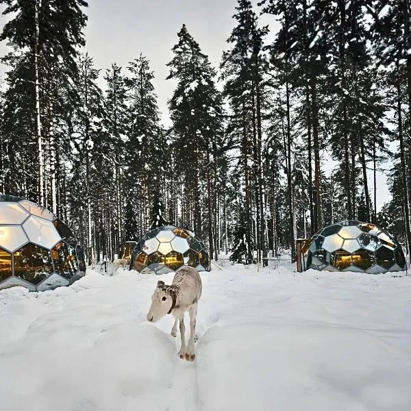 SKOG - Aurora Igloos Resort，位于卡利克斯的酒店