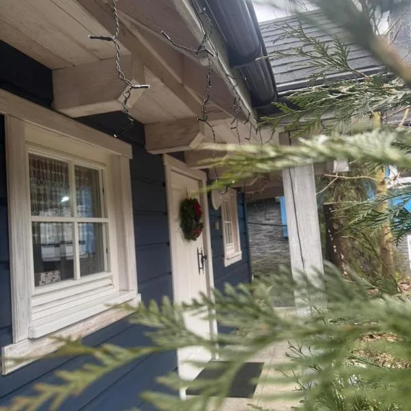 Szyszkowy Zakątek，位于维斯瓦的酒店