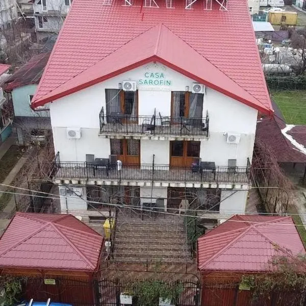 Casa Sarofin，位于科斯蒂内什蒂的酒店