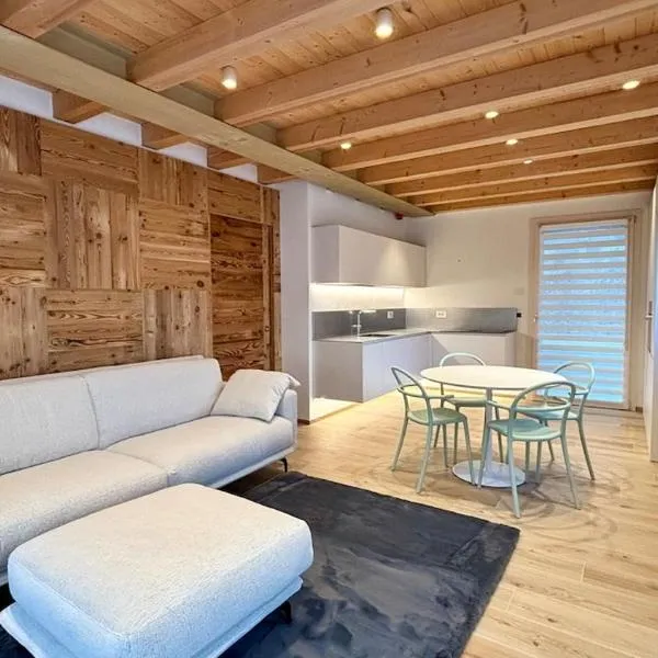 Deluxe Apartment Dolomites Chalet Primiero San Martino di C，位于费拉迪普利米罗的酒店