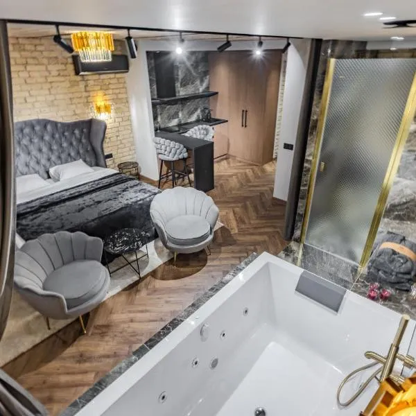Basanavičiaus apartament，位于维尔纽斯的酒店