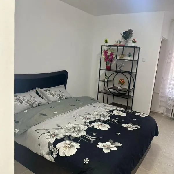 Studio Relax2,位于巴克乌的酒店