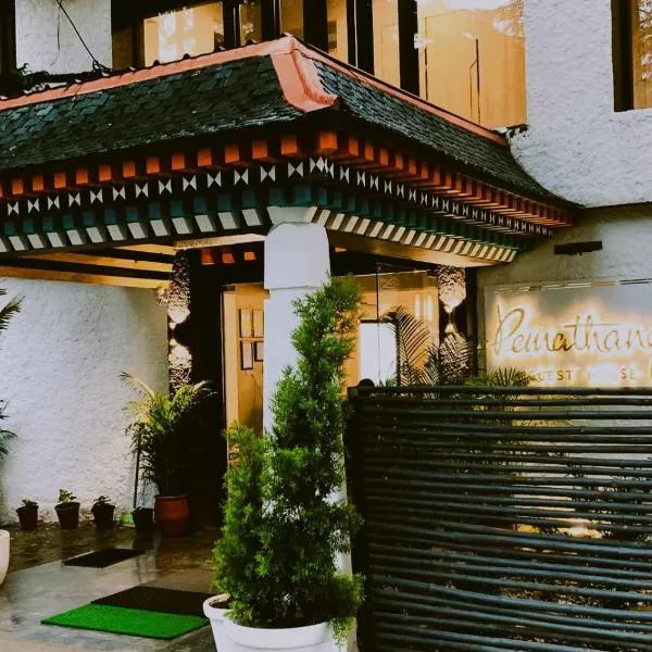 Pema Thang Guest House Mcleodganj，位于达兰萨拉的酒店