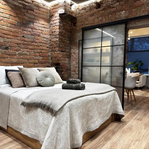 Casa Rustica Free Parking Port Arthur，位于图尔库的酒店