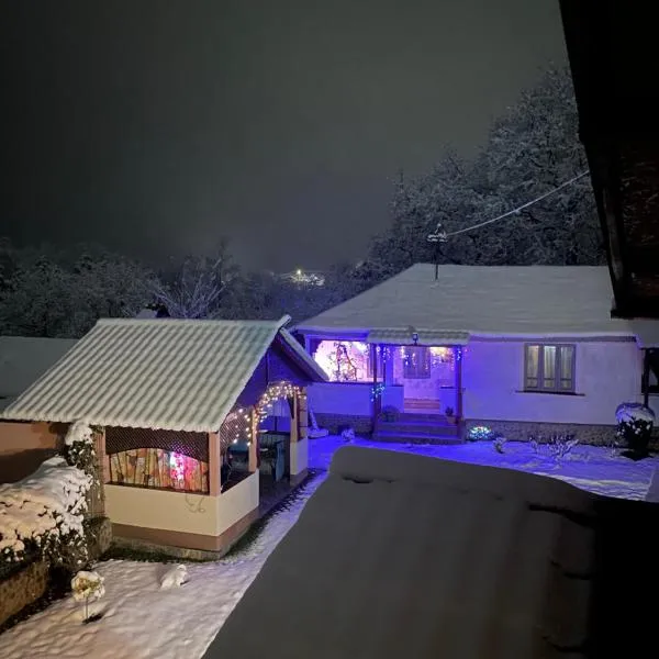 Casa Putna，位于Vidra的酒店