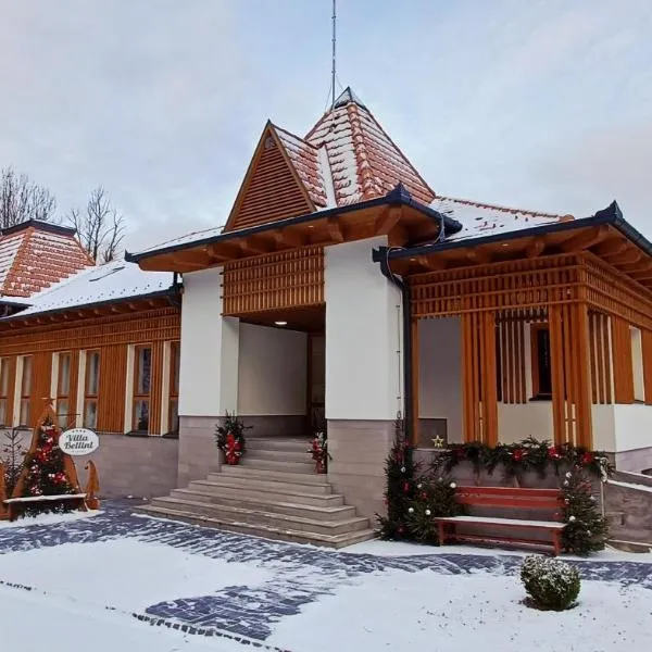 Villa Bellini Borszék，位于博尔塞克的酒店