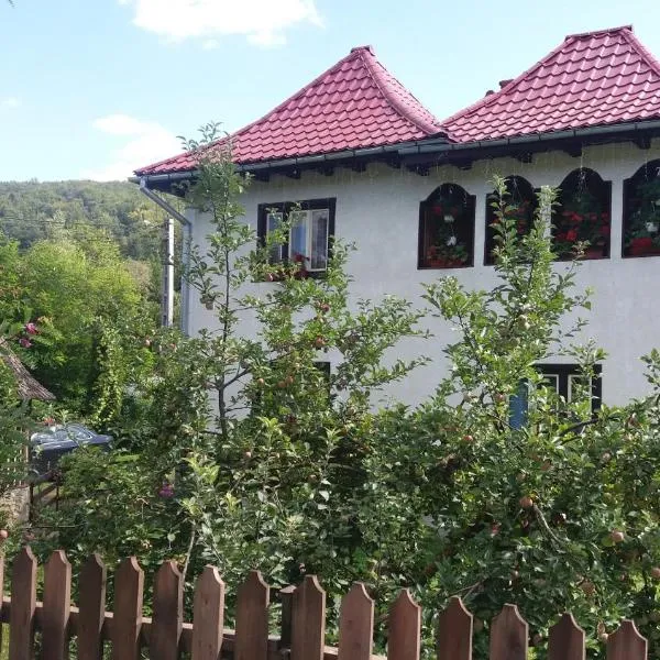 Pensiunea Letitia，位于Putnişoara的酒店