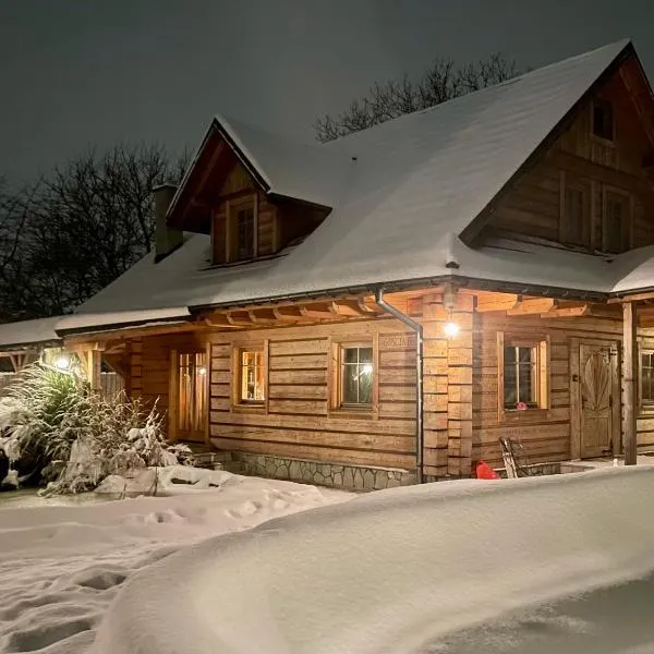 Zacisze Pod Lipą，位于安德雷胡夫的酒店