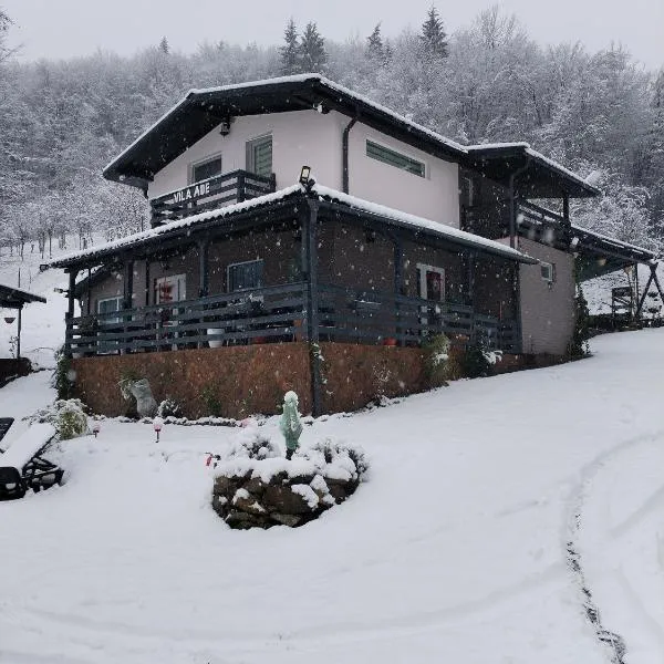 VILA Ade，位于Padeş的酒店