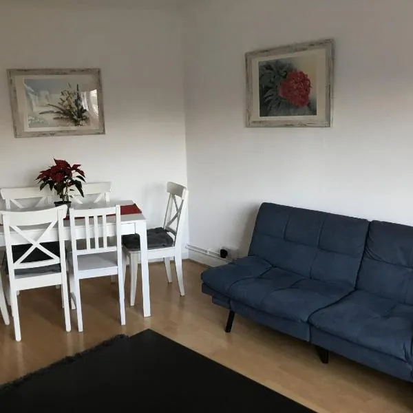 Beautiful flat in Brixton close to city center，位于伦敦的酒店