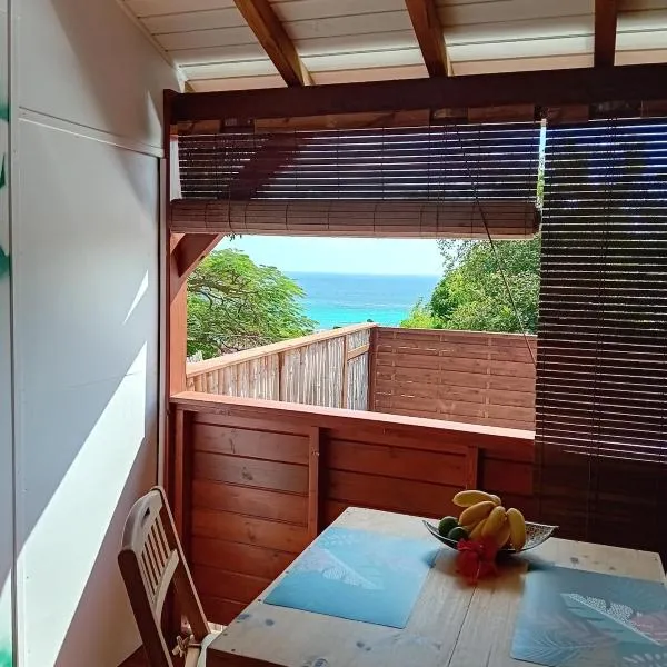 Studio vue mer avec cuisine et SDB，位于卡佩斯特的酒店