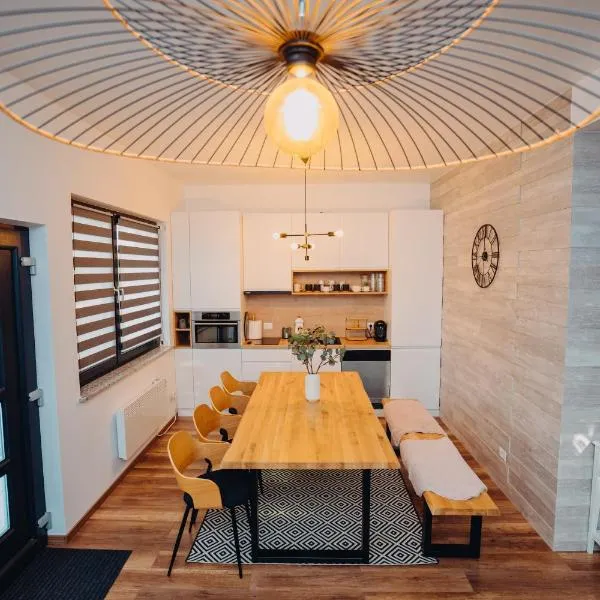 NorthSpot Cabin，位于Horodnic de Sus的酒店