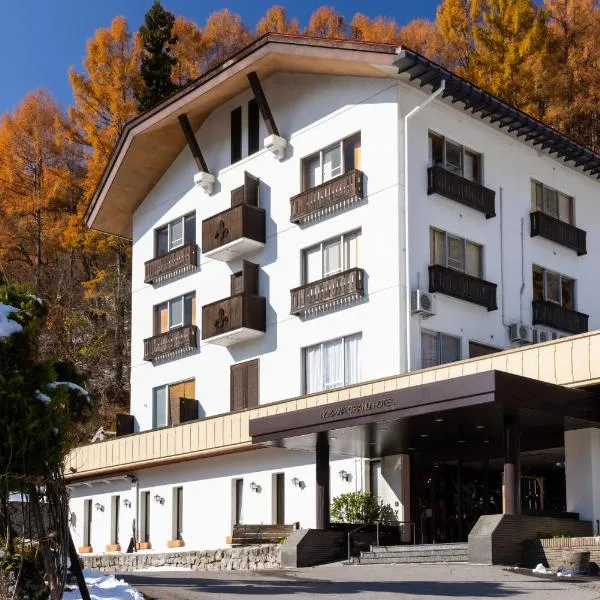 野泽大酒店，位于野沢的酒店