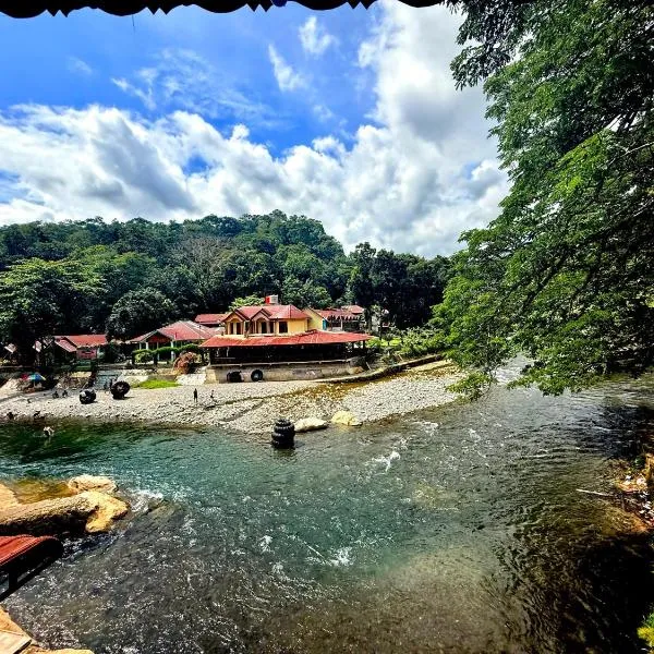 JUNGLE LIFE GUEST HOUSE - Trekking & Transport Only Book With Us，位于武吉拉旺的酒店