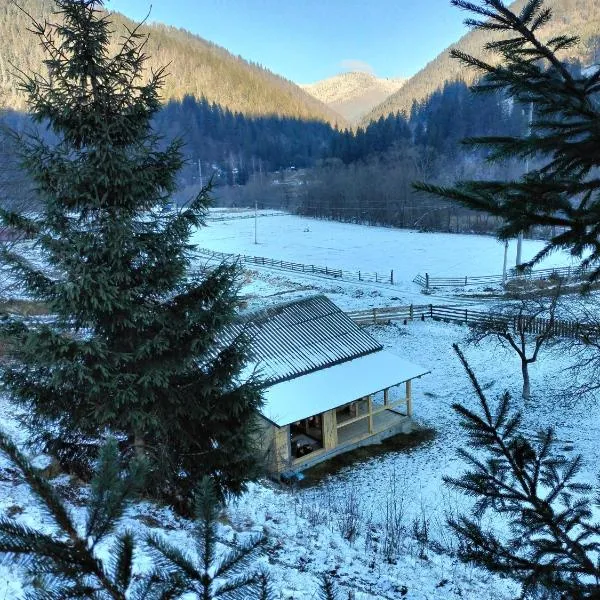 Будинок в Карпатах，位于Verkhniy Yasenov的酒店
